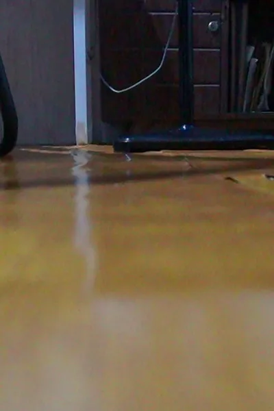 4b36a2ec-6f21-47e3-8eb3-e1df8c5f3de9